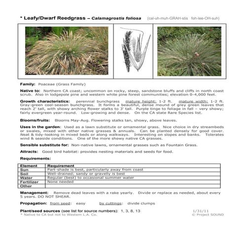 Tree Identification Guide for Oregonians | PDF