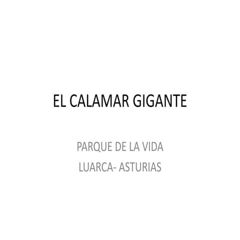 Calamar gigante Mario 4ºB