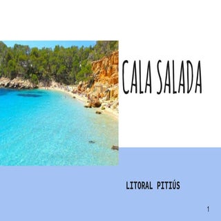 Cala Salada