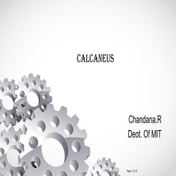 X-RAY views for foot, calcaneum, and ankle joint. | PDF