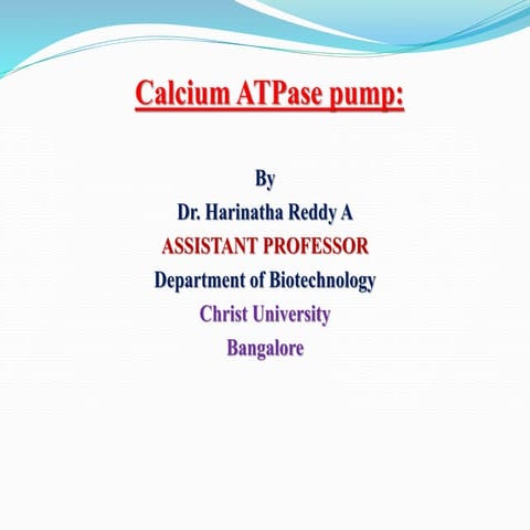 Calcium atpase pumps