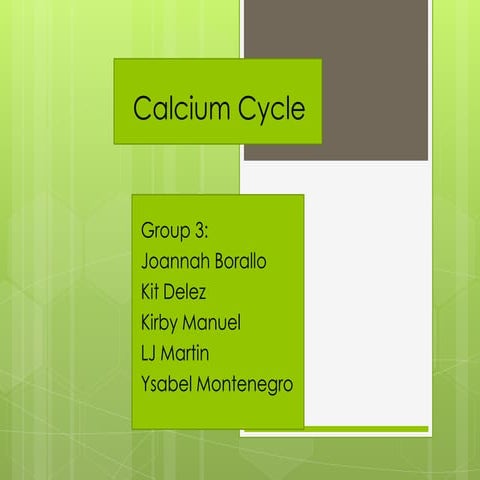 Calcium cycle