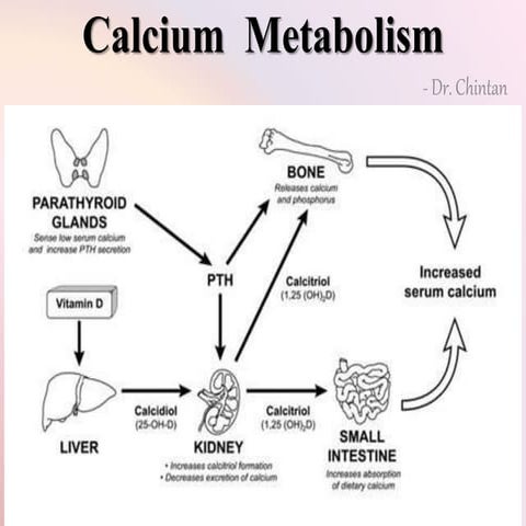 Calcium  metabolism