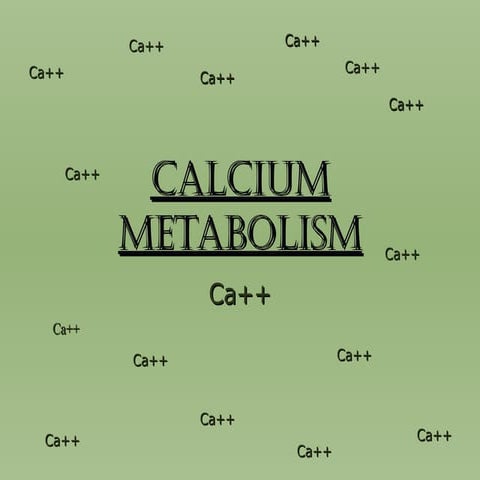 View of CALCIUM_METABOLISM.power point presentation | PPT