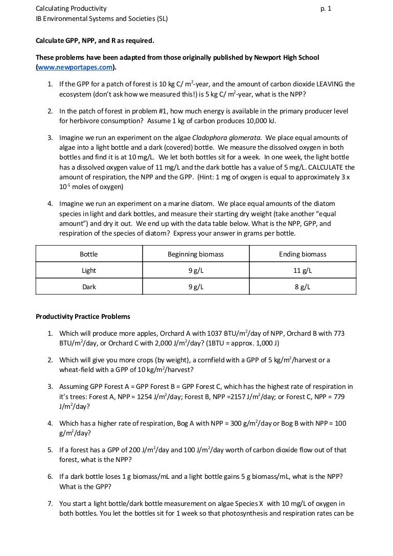 Calculating Productivity