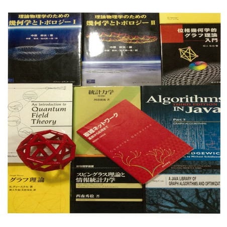 複雑ネットワーク上の伝搬法則の数理