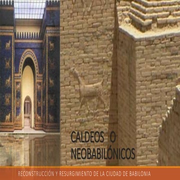 Caldeos   neobabilonicos
