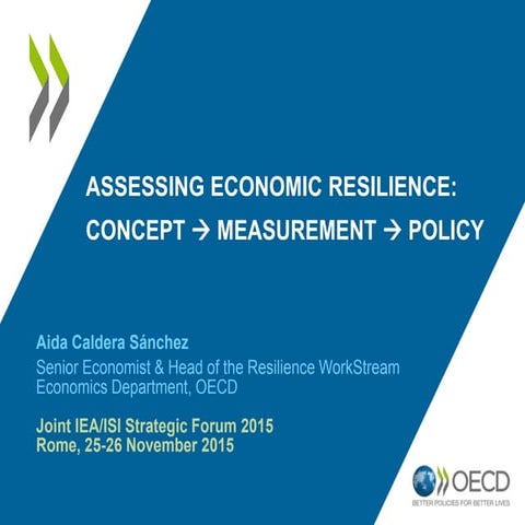 HLEG thematic workshop on measuring economic, social and environmental resili...