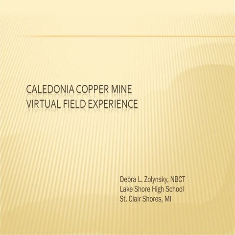 Caledonia copper mine vfe