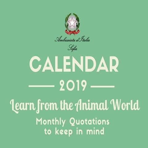 Learn from the Animal World (Diplo calendar 2019)