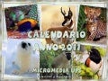 Calendario 2011 animali