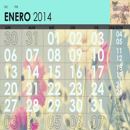 Calendario 2014 DARSHAN