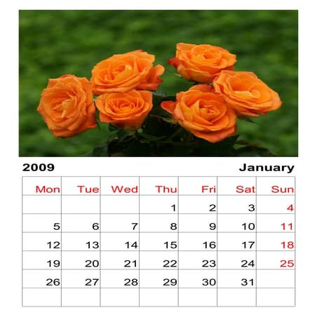Calendar Roses