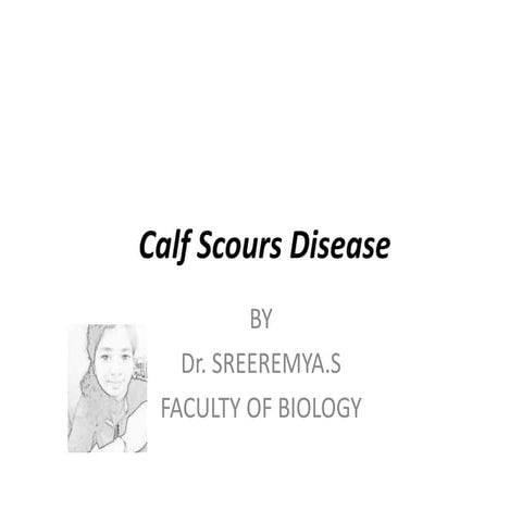 Calf scours disease