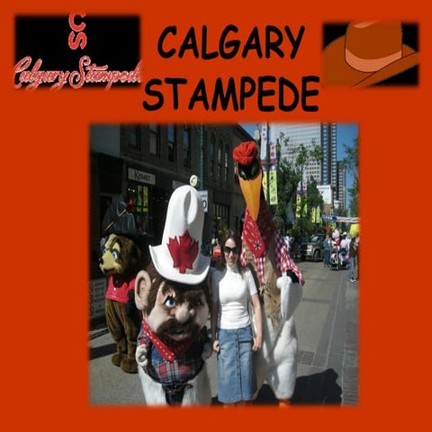 Calgary stampede
