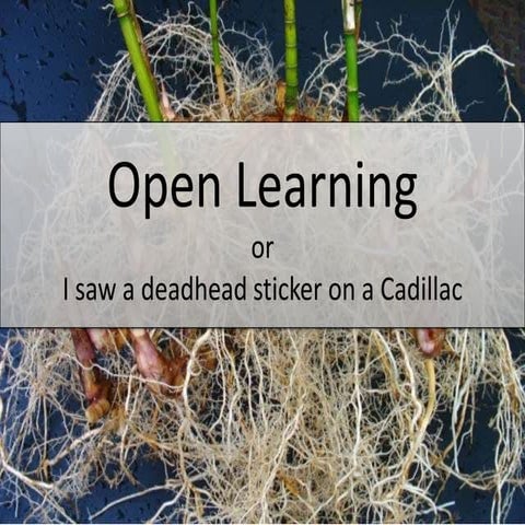Open Learning