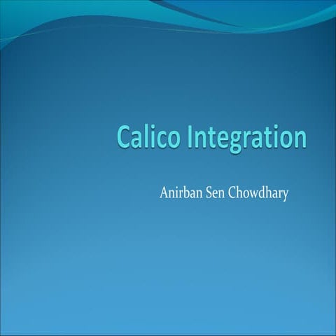 Calico integration