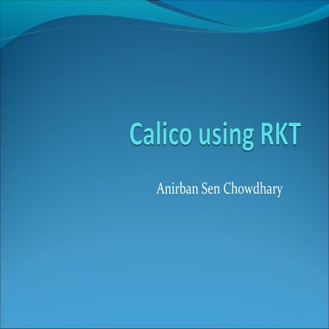 Calico using rkt