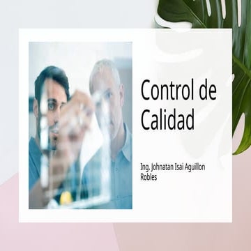 Control de calidad abarcado en la industria | PPTX