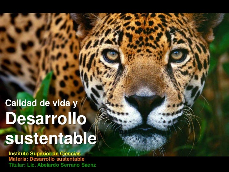Calidad De Vida Y Desarrollo Sustentable Isc