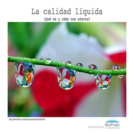 Calidad líquida 4 parte