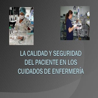 Calidad y seguridad paciente enferm...