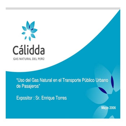 Calidda.pdf