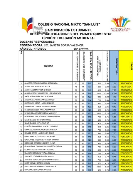 Calificaciones de la alternativa
