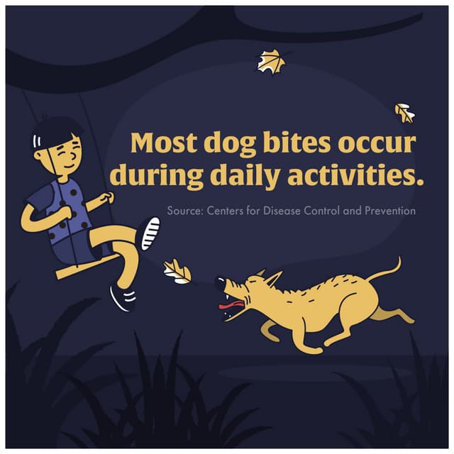 California tops the U.S. in dog bite claims