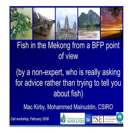 Fish in the Mekong from a BFP point of view
