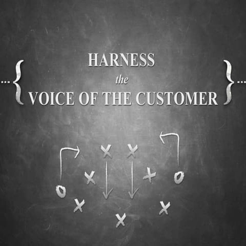 Harness the Voice of the Customer