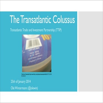 The Transatlantic Colussus - We have to broaden the debate on TTIP