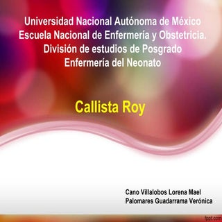 Callista presentacion