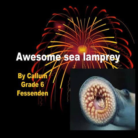 Callum mac donald awesome sea lamprey slide show 1 | PPT