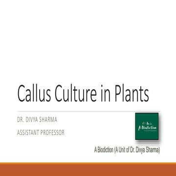 Callus culture - Plant Tissue Culture