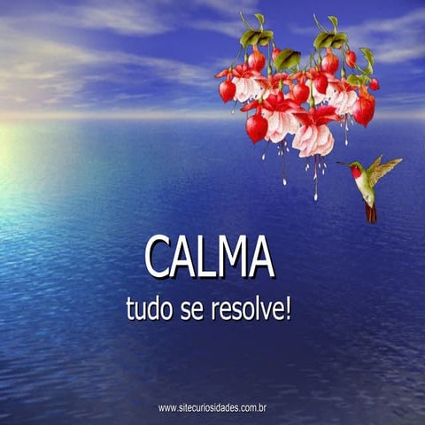 Calma tudo se resolve | PPS