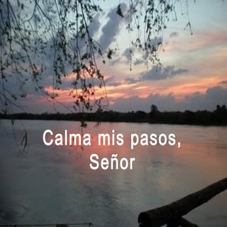 Calma mis pasos
