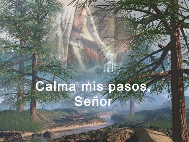 Calma mis pasos Señor