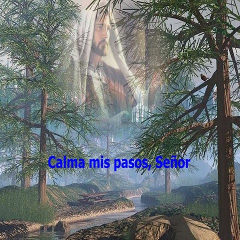 Calma mis pasos Señor