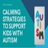 Calming Strategies to Support Kids With Autism Spectrum Disorder | PDF