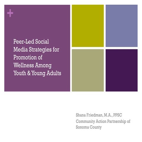 Katso Media Social Media Proposal Sample Template | PDF