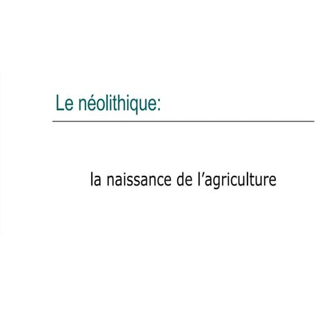 Le Neolithique