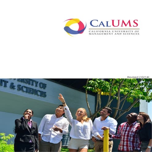 Calums brochure | PDF