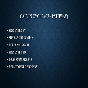 CALVIN CYCLE (C3 - PATHWAY).pptx