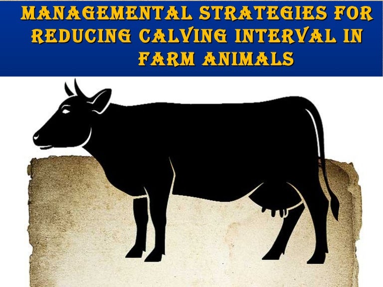 MANAGEMENTAL STRATEGIES FOR REDUCING CALVING INTERVAL IN FARM ANIMALS…