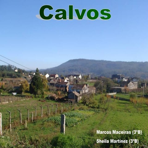 Calvos