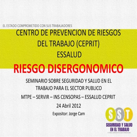 Cam seminario sst-riesgosdisergonomicos-2012-04-24