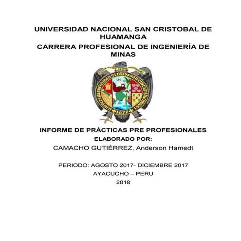 Informe de Practicas Pre Profesionales Ingeniería de Minas