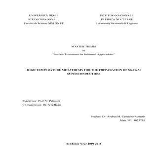 Tesi Master Andrea Camacho Romero