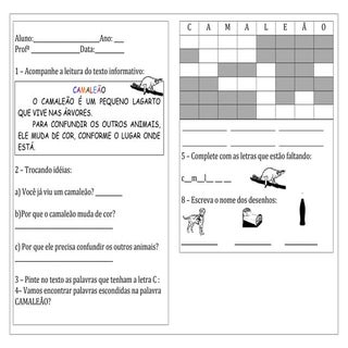 Camaleão atividade interpretação
